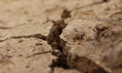 Carrefour, CIA: è rottura