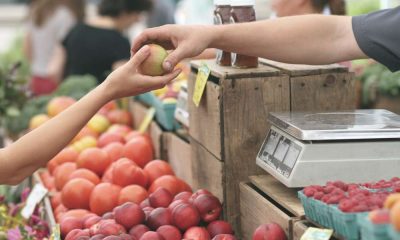 Ccnl ortofrutta e agrumari, il confronto sul rinnovo prosegue: i temi discussi